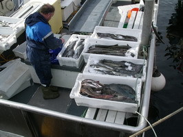 奧斯陸魚市場